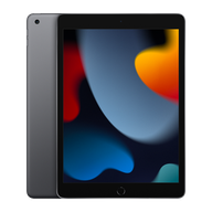 iPad 10.2 9th Gen (Wi-Fi Only)